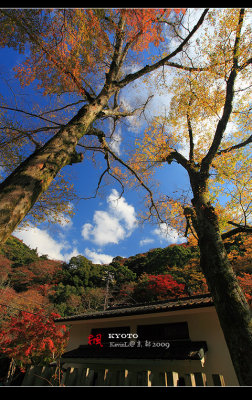 Kyoto_2009_1120_04.jpg