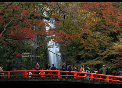 Kyoto_2009_1120_21.jpg