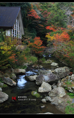 Kyoto_2009_1120_24.jpg