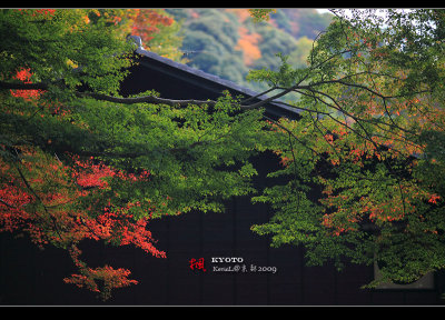 Kyoto_2009_1120_25.jpg