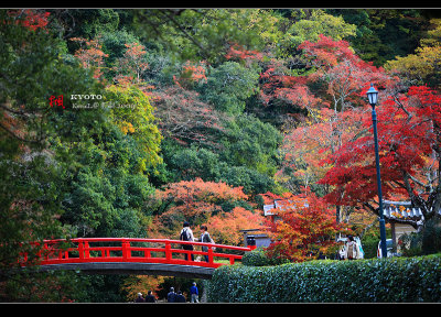 Kyoto_2009_1120_26.jpg