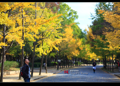 Kyoto_2009_1121_24.jpg