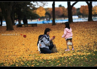 Day4 -- 立川昭和紀念公園