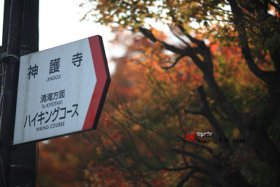 Kyoto_2016_07.jpg