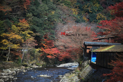 Kyoto_2016_10.jpg