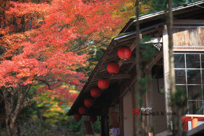 Kyoto_2016_13.jpg