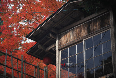 Kyoto_2016_15.jpg