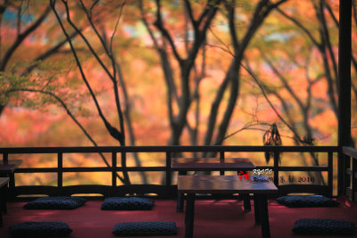 Kyoto_2016_16.jpg