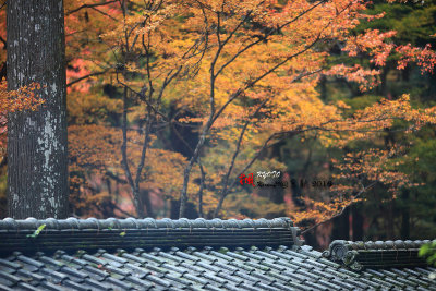 Kyoto_2016_19.jpg
