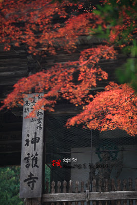 Kyoto_2016_21.jpg