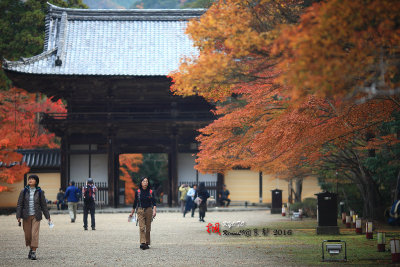 Kyoto_2016_28.jpg