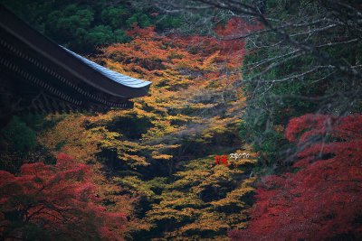 Kyoto_2016_29.jpg