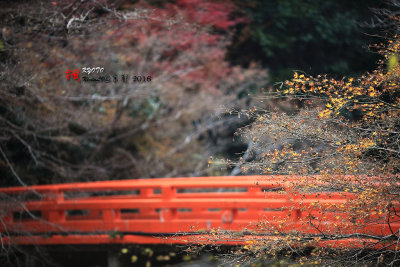 Kyoto_2016_33.jpg