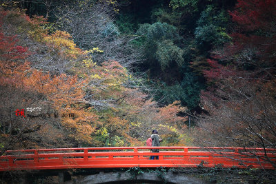 Kyoto_2016_35.jpg