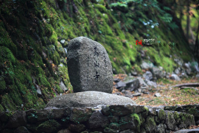 Kyoto_2016_38.jpg