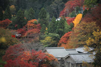 Kyoto_2016_42.jpg