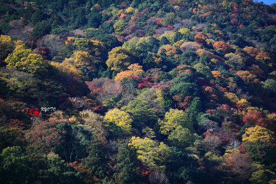Kyoto_2016_47.jpg