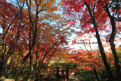 Kyoto_2016_62.jpg