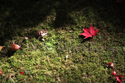 Kyoto_2016_65.jpg