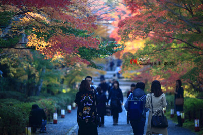 Kyoto_2016_73.jpg