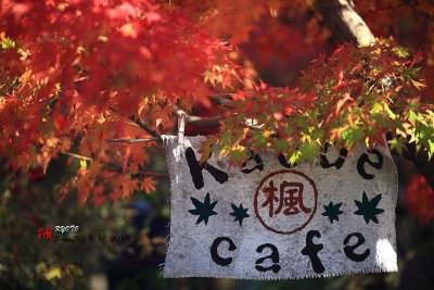 Kyoto_2016_76.jpg