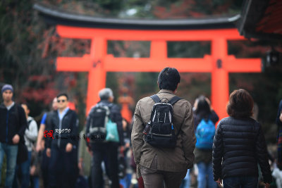 Kyoto_2016_103.jpg