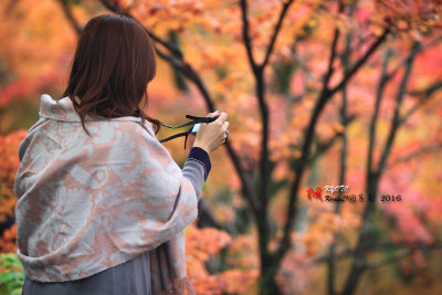 Kyoto_2016_85.jpg