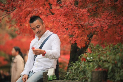 Kyoto_2016_94.jpg