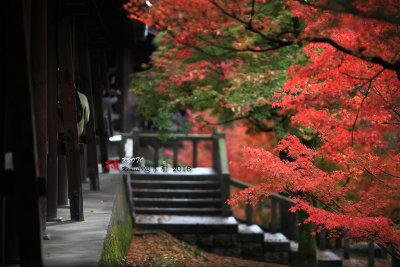 Kyoto_2016_97.jpg