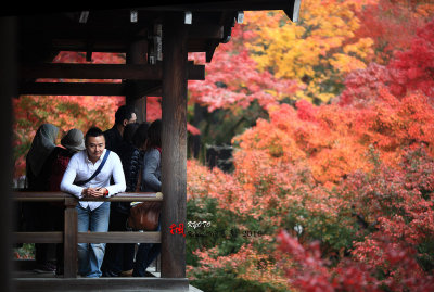 Kyoto_2016_99.jpg