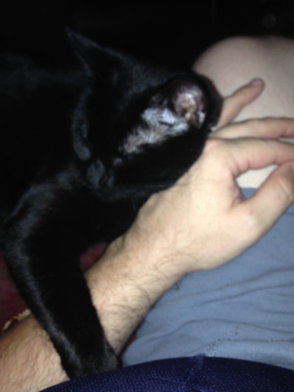 2014-07-11 19:02