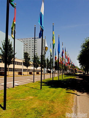 23 - City - Flags of all Nations  ...