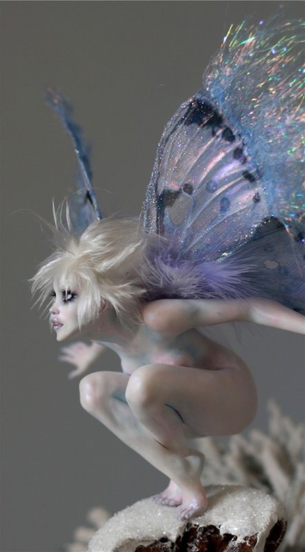Frosty Tinkerbell