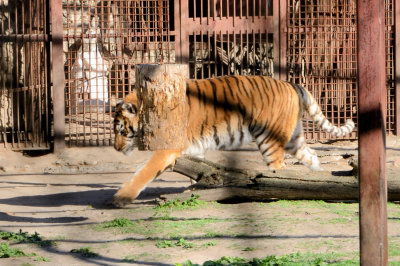 DSC_5222.jpg