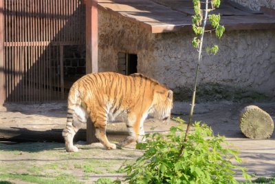 DSC_5234.jpg