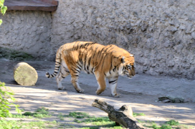 DSC_5235.jpg