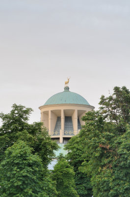 DSC_5624.jpg
