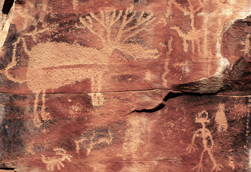 Elk Petroglyph, AZ