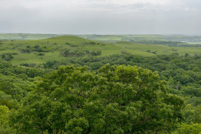 Flint Hills from Konza Prairie Overlook