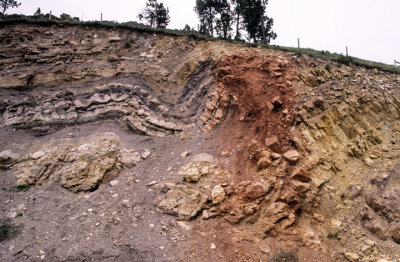 Amsden Formation Reverse  fault , Bighorn Mountains, WY