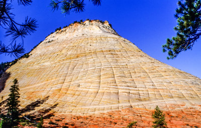 Checkerboard Mesa cross-bedding, Zion National Park, UT