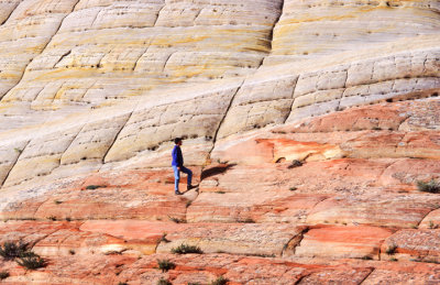 Geologist at Checkerboard Mesa, Zion National Park, UT