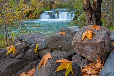 Fossil Creek, Coconino National Forest, AZ