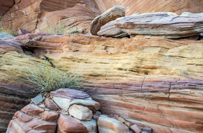 Pink Canyon , Valley of Fire State Park, NV