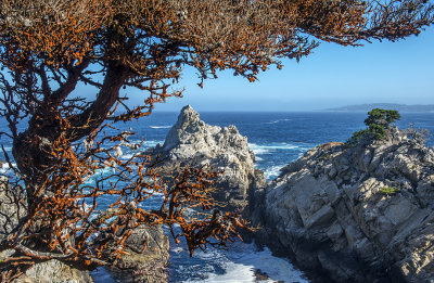 Point Lobos State Reserve