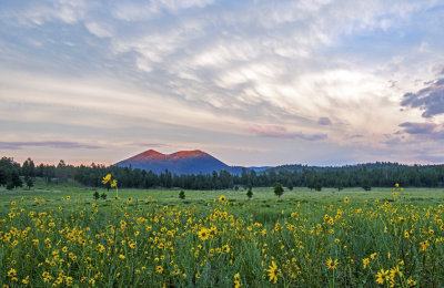 Sunset Crater from Bonito Meadow, Sunset Crater National Monument, AZ