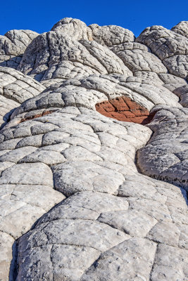 Polygonal sandstone, White Pocket, Vermilion Cliffs National Monument, AZ