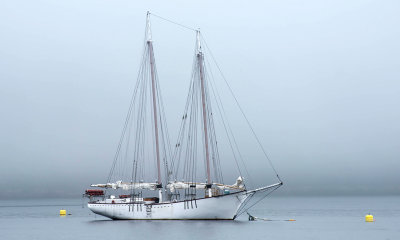 Sailboat in Bar Harbor, ME