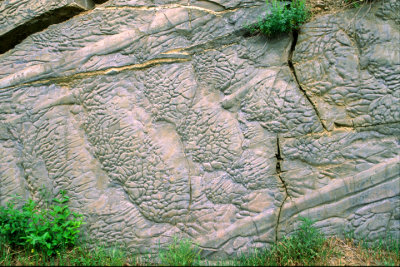 (STRA12) Load casts, flute marks, and drag grooves, Normanskill Shale, Greene County, NY