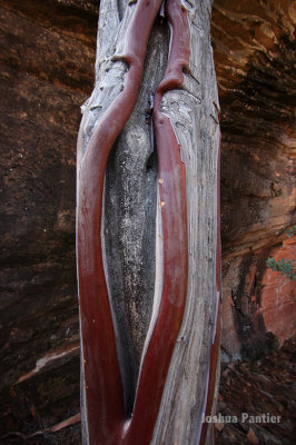 Sedona04.jpg